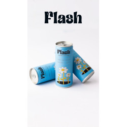 فلاش مشروب غازي علبة بنكهات طبيغية 250 مل شد 24