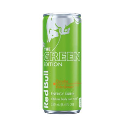 ريد بول سعودي كوروبا 250 مل شد 24