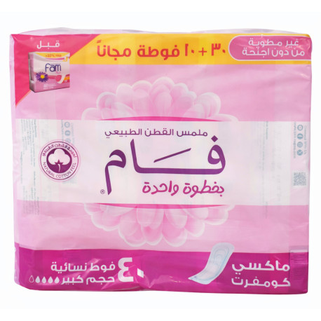 Fam Natural Cotton Texture with Wings Feminine Pads 3+1*10 Strength 6