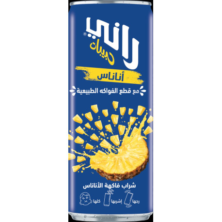 Rani juice, pineapple Pcs 24