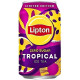 Ice Tea Tropical Zero 315 ml, 24 oz