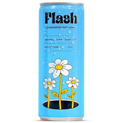 Flash Soft Drink Natural Flavors Can 250ml 24 Pack