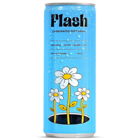 Flash Soft Drink Natural Flavors Can 250ml 24 Pack