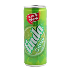 Caesar Lemon Mint Juice 250 ml Pcs 24