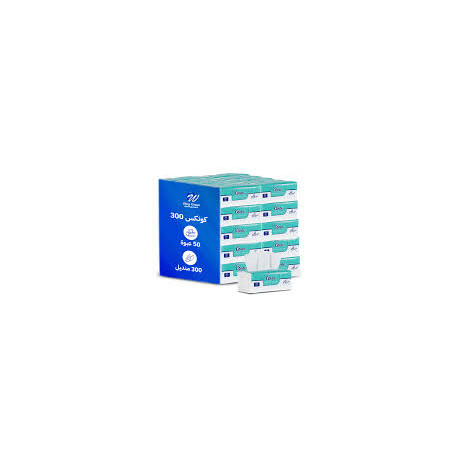 Hygiene wipes – 300 wipes (pack of 50)