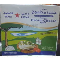 Wadi Fatima Processed Cheese Analogue, 50g (Pack of 12)