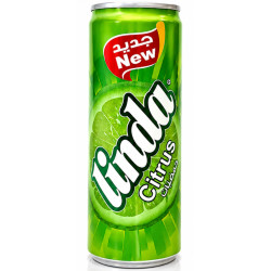 Caesar Lemon Mint Juice 250 ml Pcs 24