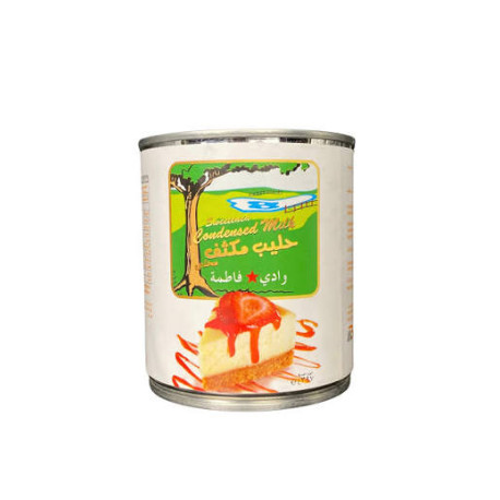 Wadi Fatma Condensed Milk 397g / Piece