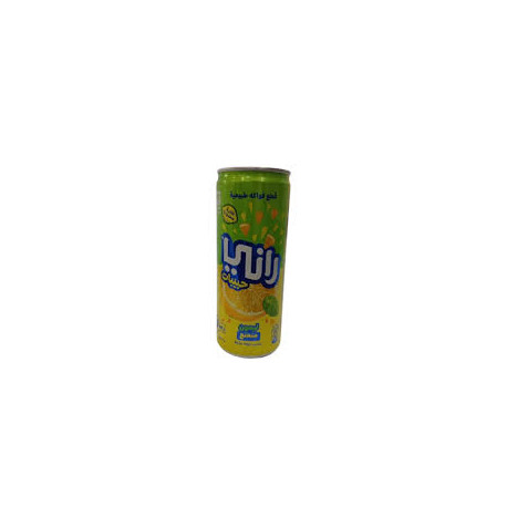 Rani lemonade mint granules 240 ml, 24 pack
