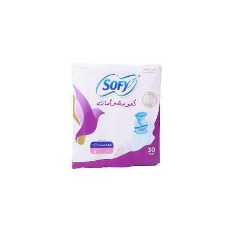 سوفي فوط نسائية ماكس سميكة 29 سم شد 6*30