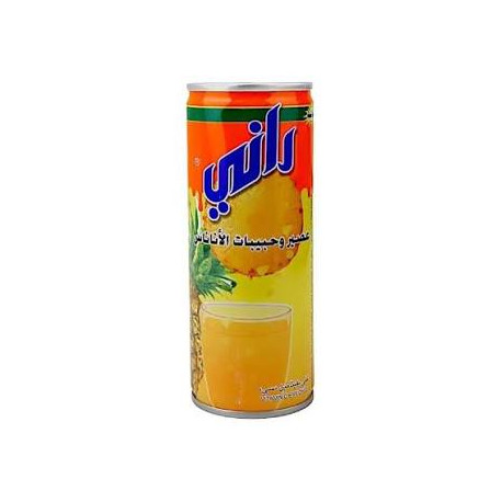 Rani Pineapple Juice, 250ml Can (Pack of 30)