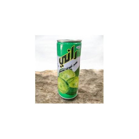 Rani Natural Guava Juice, 250ml Can (Pack of 30)