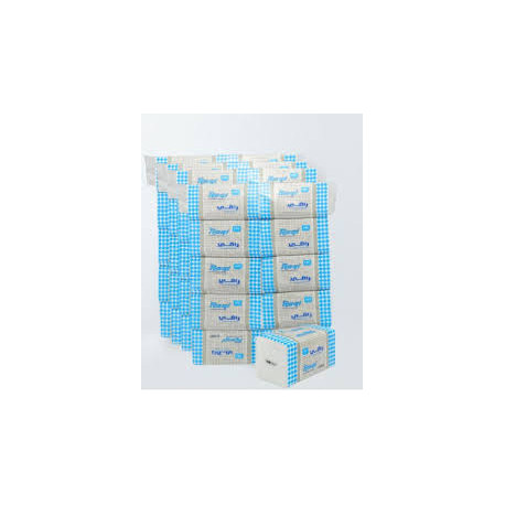 Lorva Tissues – 600 tissues (Pack of 4 x 10)