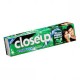 Close Up Toothpaste 80 gm
