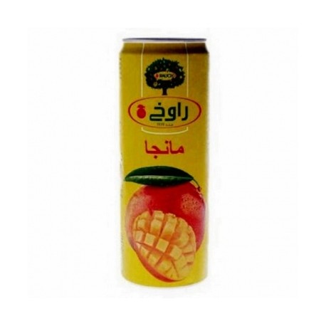 شراب راوخ مانجو 355 مل شد 24